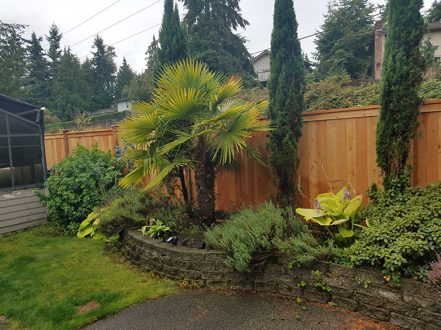 wood fences and wooden privacy fence installation in Everett
