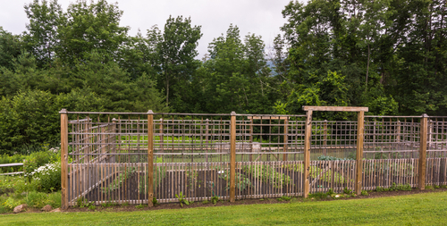 Don't Wait To Repair Your Mill Creek Garden Fencing
